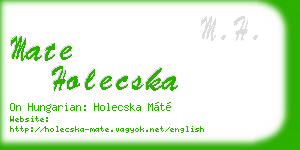 mate holecska business card